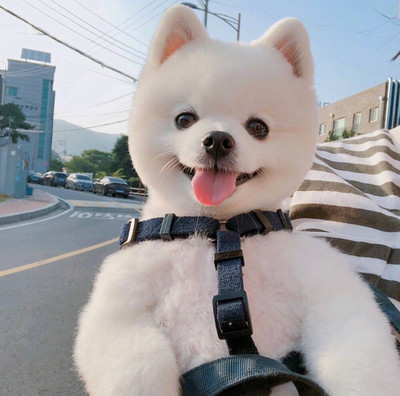 小狐狸钱包安卓版